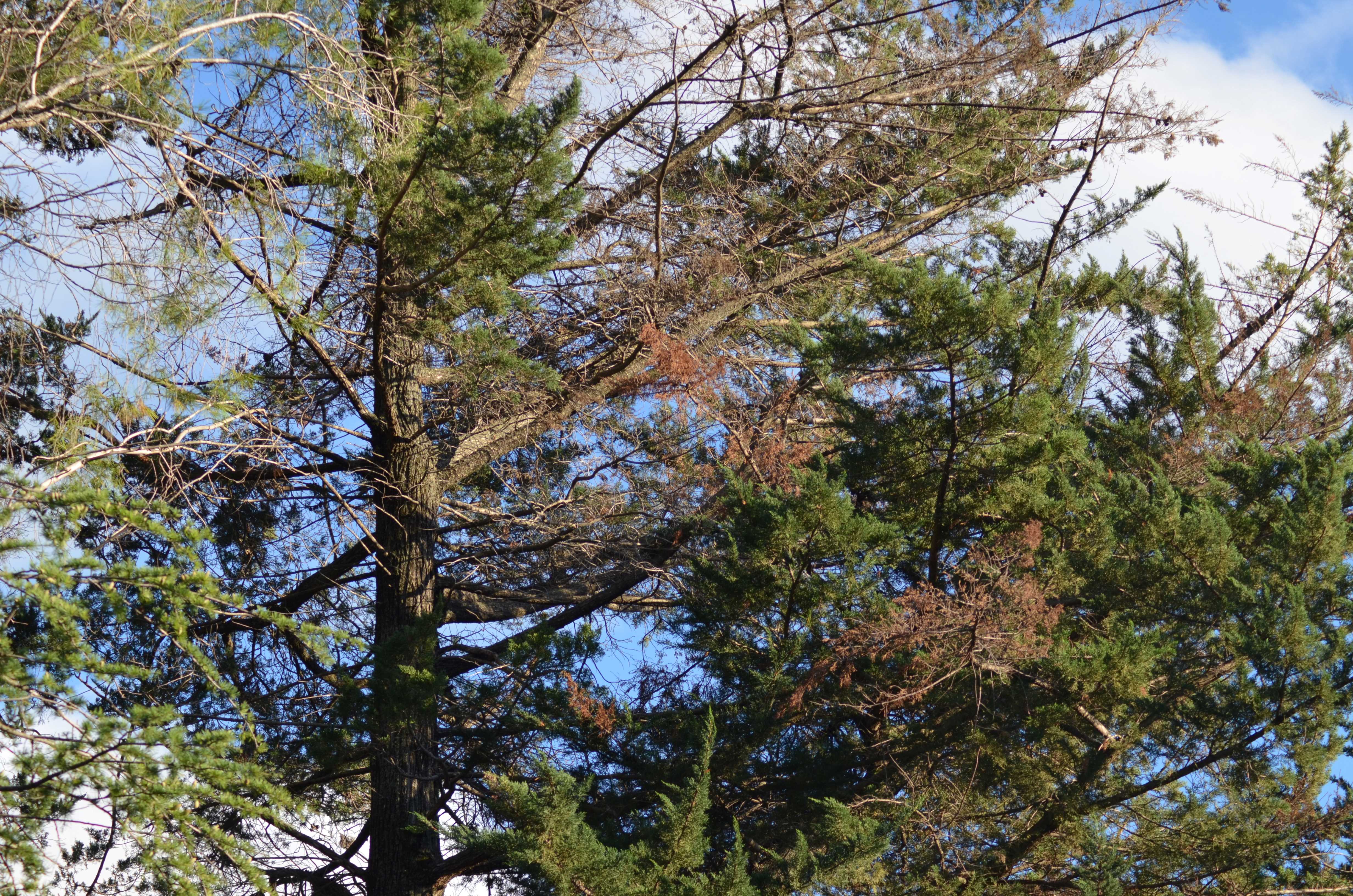 No s'ha trobat l'arxiu